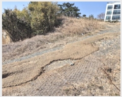  2025Ÿ��930 ��� ���� ������ 707-12       ����(��1)���