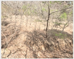  2025Ÿ��1026 ��� �ϱ� ���뵿 675-2       ����(��)���