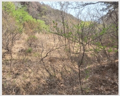  2025Ÿ��1026 ��� �ϱ� ���뵿 675-2       ����(��)���