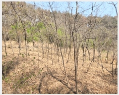  2025Ÿ��1026 ��� �ϱ� ���뵿 675-2       ����(��)���