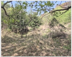  2025Ÿ��1026 ��� �ϱ� ���뵿 675-2       ����(��)���