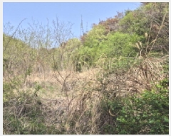  2025Ÿ��1026 ��� �ϱ� ���뵿 675-2       ����(��)���