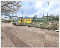  2025Ÿ��1037 ��� ���ֱ� ����� ���θ� 117-1      ����(��)���