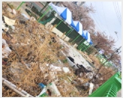  2025Ÿ��1037 ��� ���ֱ� ����� ���θ� 117-1      ����(��)���