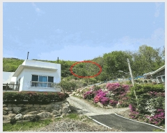  2025Ÿ��1065  �Ӿ߰��