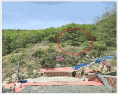  2025Ÿ��1065  �Ӿ߰��