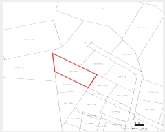  2025Ÿ��1065  �Ӿ߰��