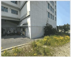  2025Ÿ��1161  �ٸ��󰡰��