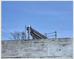  2025Ÿ��1182 ��� ���ֱ� ������ ȭ�긮 243      ���ð��