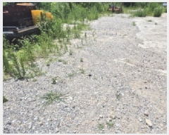  2025Ÿ��1182 ��� ���ֱ� ������ ȭ�긮 243      ���ð��