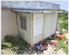  2025Ÿ��1182 ��� ���ֱ� ������ ȭ�긮 243      ���ð��