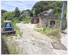  2025Ÿ��1182 ��� ���ֱ� ������ ȭ�긮 243      ���ð��