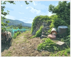  2025Ÿ��1226 ��� ���ֱ� �μ��� Ȱõ�� 455-5      ����(��1)���