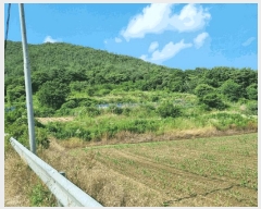  2025Ÿ��1226 ��� ���ֱ� �μ��� Ȱõ�� 455-5      ����(��1)���