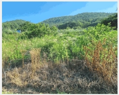  2025Ÿ��1226 ��� ���ֱ� �μ��� Ȱõ�� 455-5      ����(��1)���