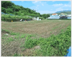  2025Ÿ��1226 ��� ���ֱ� �μ��� Ȱõ�� 455-5      ����(��1)���