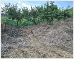  2025Ÿ��1226 ��� ���ֱ� �μ��� Ȱõ�� 455-5      ����(��1)���