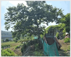  2025Ÿ��1226 ��� ���ֱ� �μ��� Ȱõ�� 455-5      ����(��1)���