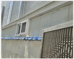  2025Ÿ��1231  �ٸ��ü����