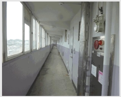  2025Ÿ��1236  ����Ʈ���