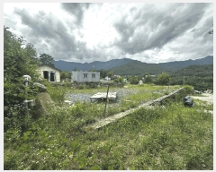  2025Ÿ��1266 ��� ���ֱ� ��ϸ� ������ 158-15      ����(����)���