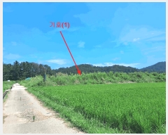  2025Ÿ��1307  �����