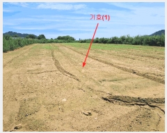  2025Ÿ��1307  �����