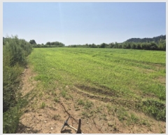  2025Ÿ��1307  �����