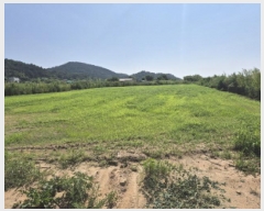  2025Ÿ��1307  �����