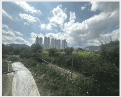  2025Ÿ��1421 �泲 ���� ���ֵ� 551       ����(��)���