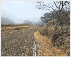  2025Ÿ��11084  ����