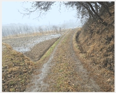  2025Ÿ��11084  ����