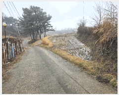  2025Ÿ��11084  ����