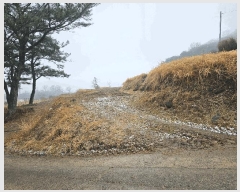  2025Ÿ��11084  ����