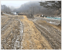  2025Ÿ��11084  ����