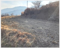  2025Ÿ��11084  ����