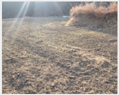  2025Ÿ��11084  ����