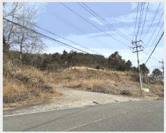  2025Ÿ11437  ֱ μ  315-1      ()