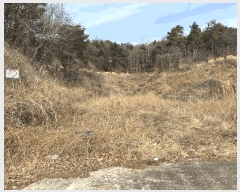  2025Ÿ11437  ֱ μ  315-1      ()