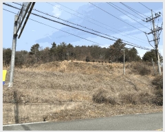  2025Ÿ11437  ֱ μ  315-1      ()