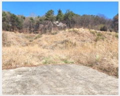  2025Ÿ11437  ֱ μ  315-1      ()