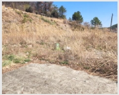  2025Ÿ11437  ֱ μ  315-1      ()