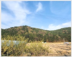  2025Ÿ11519  ֱ ϸ ñ 169-20      (Ӿ)