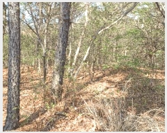  2025Ÿ��11565  �Ӿ߰��