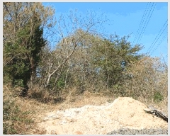  2025Ÿ��11565  �Ӿ߰��