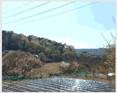  2025Ÿ��11565  �Ӿ߰��