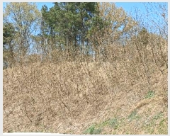  2025Ÿ��11565  �Ӿ߰��