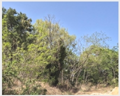  2025Ÿ��11565  �Ӿ߰��