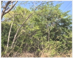  2025Ÿ��11565  �Ӿ߰��