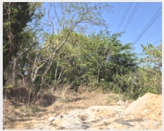  2025Ÿ��11565  �Ӿ߰��